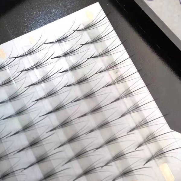 Descendants of royal families