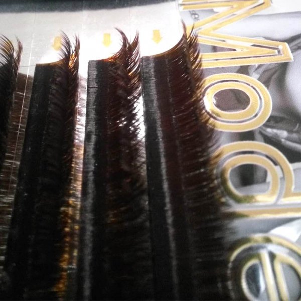 Hyperbolic one second blooming Caramel