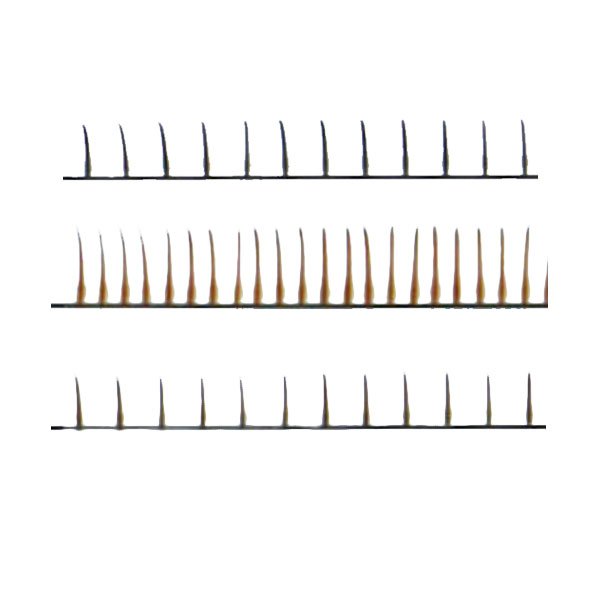 Self grafting eyel ash series